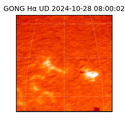 gong - 2024-10-28T08:00:02