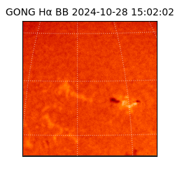 gong - 2024-10-28T15:02:02