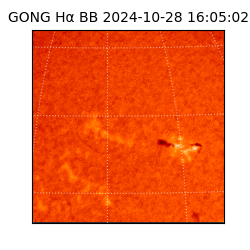 gong - 2024-10-28T16:05:02