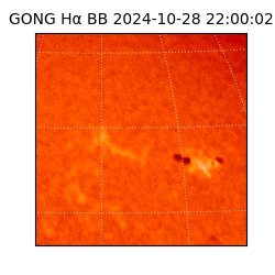 gong - 2024-10-28T22:00:02