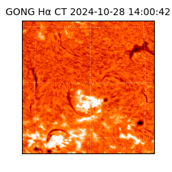 gong - 2024-10-28T14:00:42