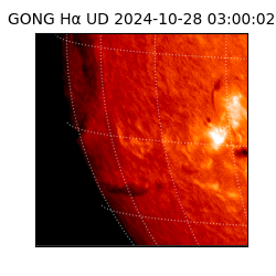 gong - 2024-10-28T03:00:02