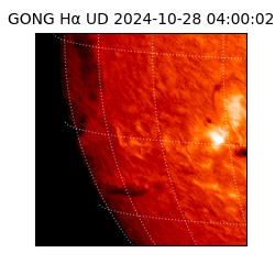 gong - 2024-10-28T04:00:02