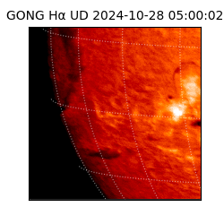 gong - 2024-10-28T05:00:02