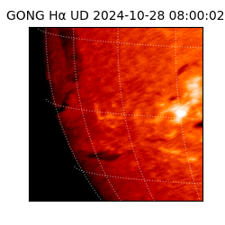 gong - 2024-10-28T08:00:02