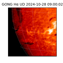 gong - 2024-10-28T09:00:02