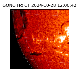 gong - 2024-10-28T12:00:42