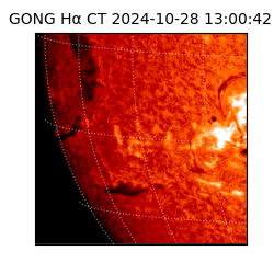 gong - 2024-10-28T13:00:42