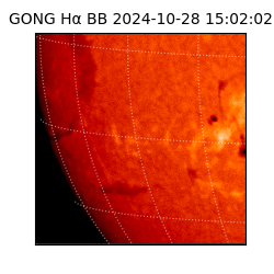 gong - 2024-10-28T15:02:02