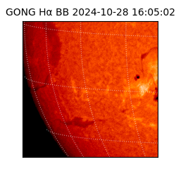 gong - 2024-10-28T16:05:02