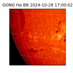 gong - 2024-10-28T17:00:02