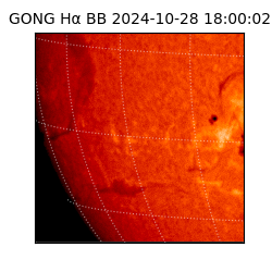 gong - 2024-10-28T18:00:02