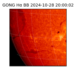 gong - 2024-10-28T20:00:02