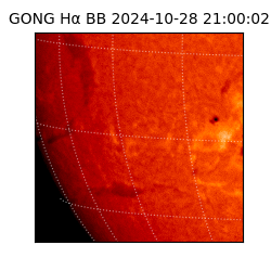 gong - 2024-10-28T21:00:02