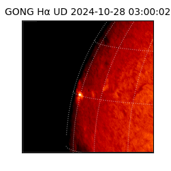 gong - 2024-10-28T03:00:02