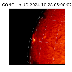 gong - 2024-10-28T05:00:02