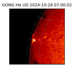 gong - 2024-10-28T07:00:02