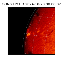 gong - 2024-10-28T08:00:02