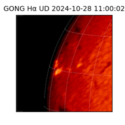 gong - 2024-10-28T11:00:02