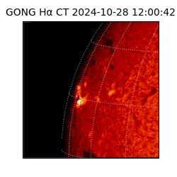 gong - 2024-10-28T12:00:42