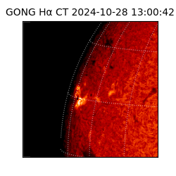 gong - 2024-10-28T13:00:42