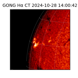 gong - 2024-10-28T14:00:42