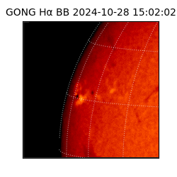 gong - 2024-10-28T15:02:02