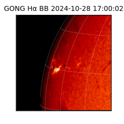 gong - 2024-10-28T17:00:02