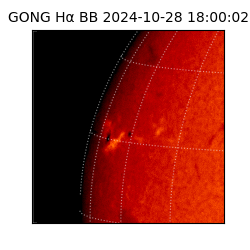 gong - 2024-10-28T18:00:02