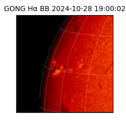 gong - 2024-10-28T19:00:02