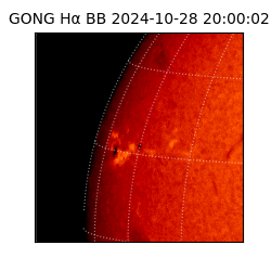 gong - 2024-10-28T20:00:02