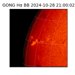 gong - 2024-10-28T21:00:02