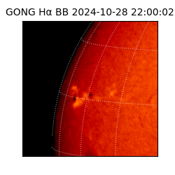 gong - 2024-10-28T22:00:02