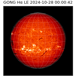 gong - 2024-10-28T00:00:42