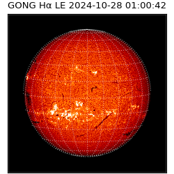 gong - 2024-10-28T01:00:42