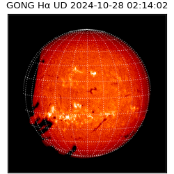 gong - 2024-10-28T02:14:02