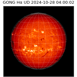gong - 2024-10-28T04:00:02