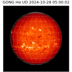 gong - 2024-10-28T05:00:02