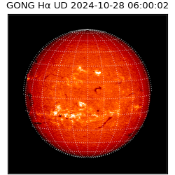 gong - 2024-10-28T06:00:02