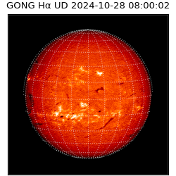 gong - 2024-10-28T08:00:02