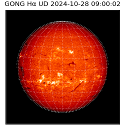 gong - 2024-10-28T09:00:02