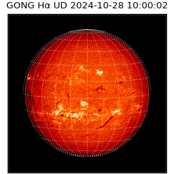 gong - 2024-10-28T10:00:02