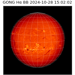 gong - 2024-10-28T15:02:02