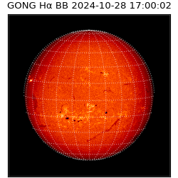 gong - 2024-10-28T17:00:02