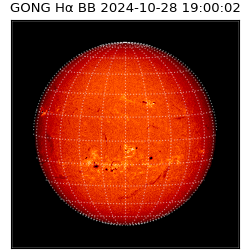 gong - 2024-10-28T19:00:02