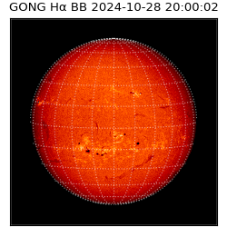 gong - 2024-10-28T20:00:02