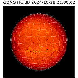 gong - 2024-10-28T21:00:02