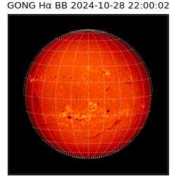 gong - 2024-10-28T22:00:02