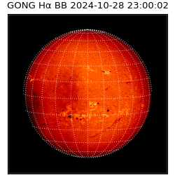 gong - 2024-10-28T23:00:02