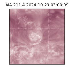 saia - 2024-10-29T03:00:09.625000